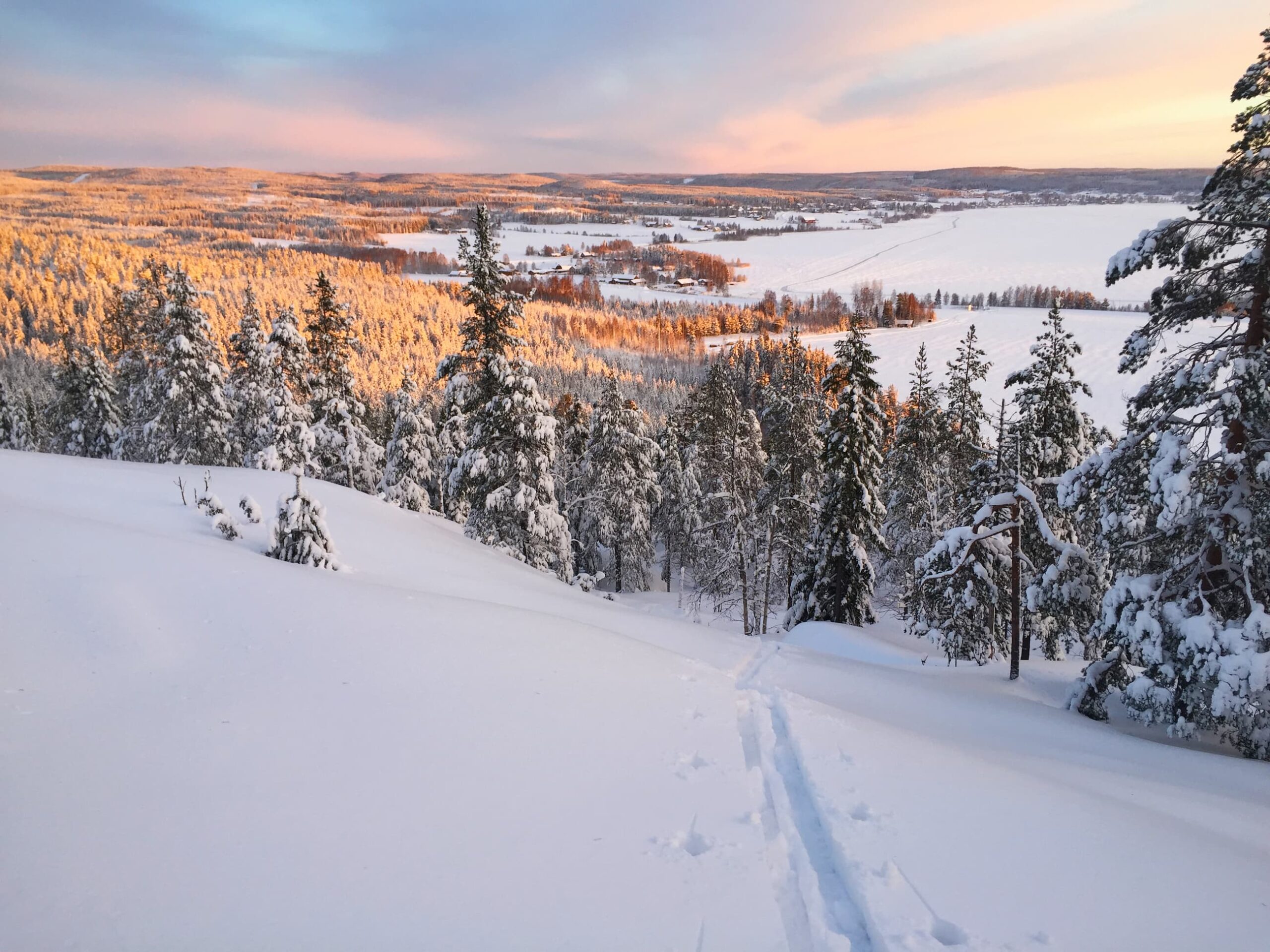 Lokalisering och utredningar