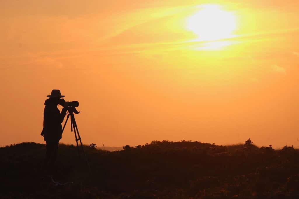 Bird inventories feasibility studies