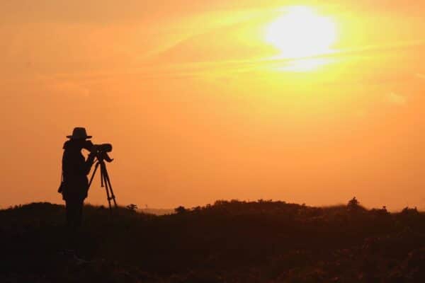 Bird surveys - a quick and cost-effective way to carry out a risk analysis for wind energy projects 