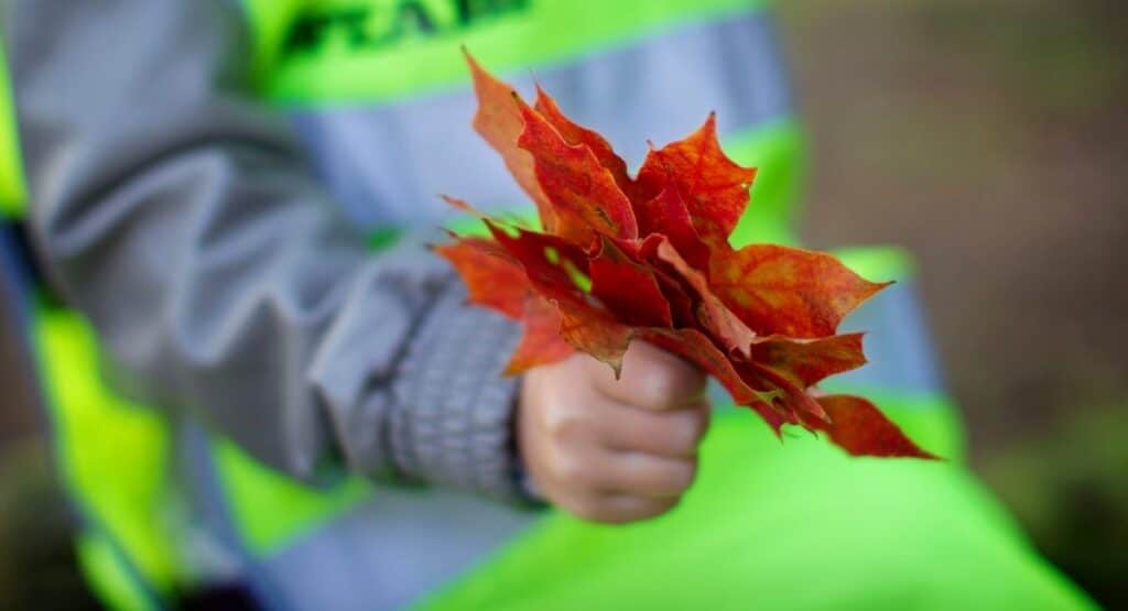 Peab strengthens its work with biodiversity