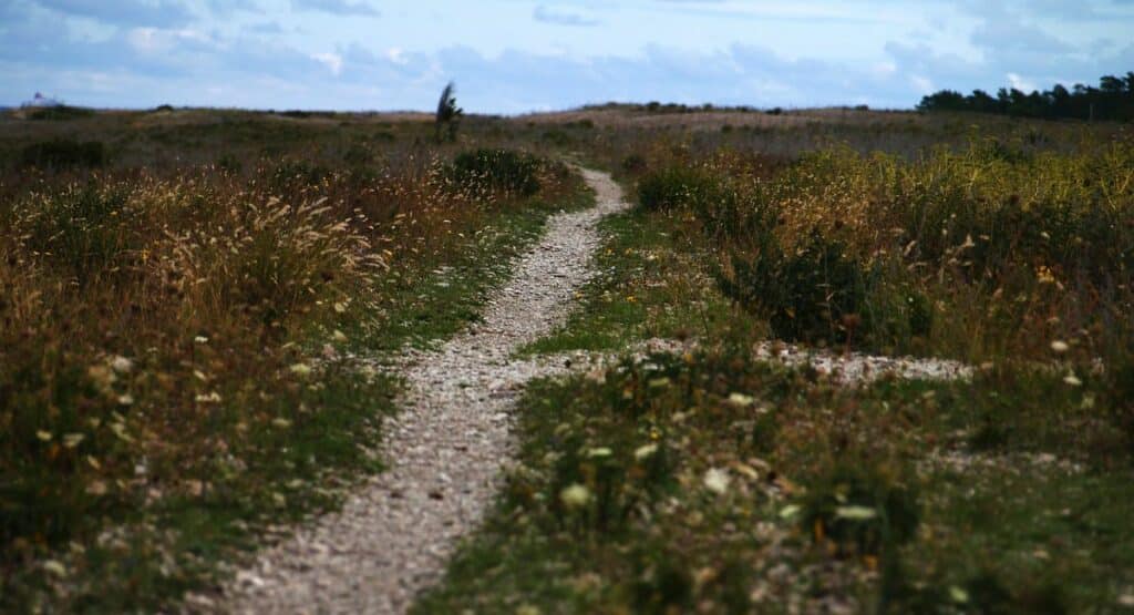 Gravel path through landscape