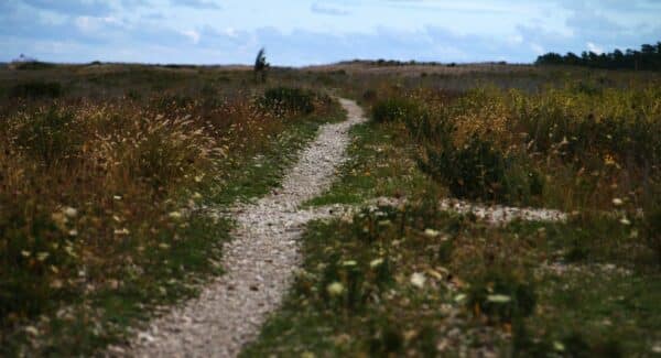 Shaping the next biodiversity roadmap with the aggregates industry 