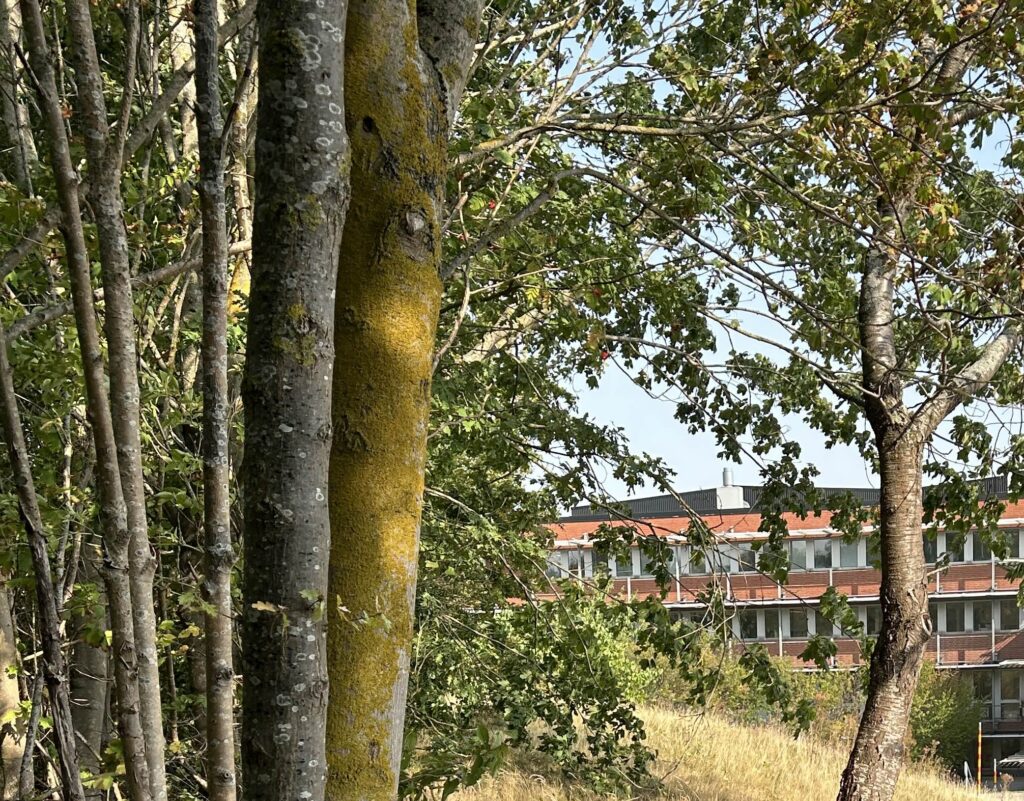 Tetra Paks anläggning i Lund