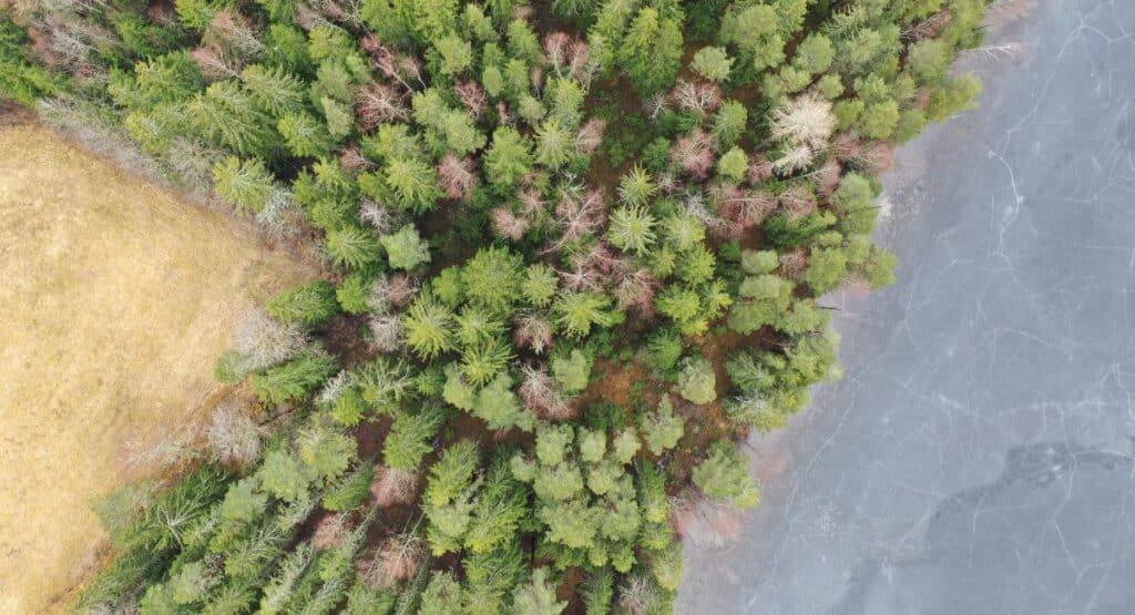 Drönarbild över svenskt landskap med blandad vegetation, tagen inom ett restaureringsprojekt för att följa naturens återhämtning.