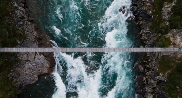 Nya möjligheter genom samarbete i internationell företagsgrupp