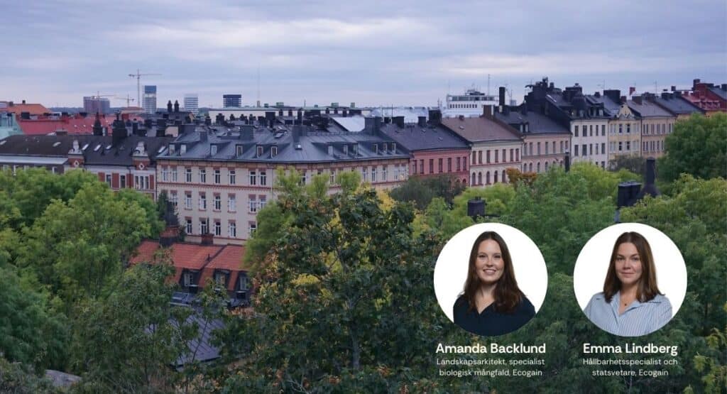 Ecogain som kursledare för Origo Academys YH-utbildning