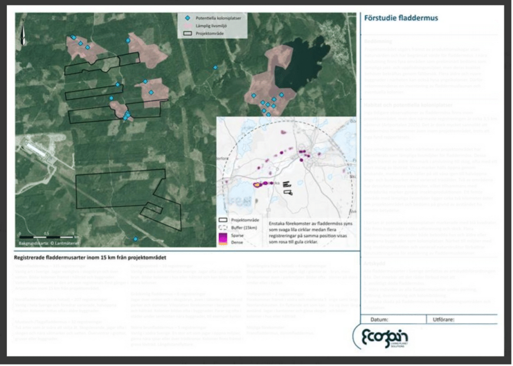 Exempel på en fladdermusförstudie