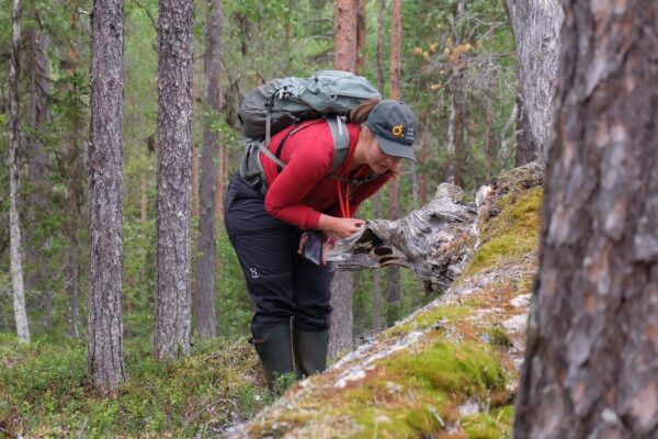 Pressmeddelande: Snabbare biodiversitetsberäkningar – Ecogain inleder samarbete med Biodiv