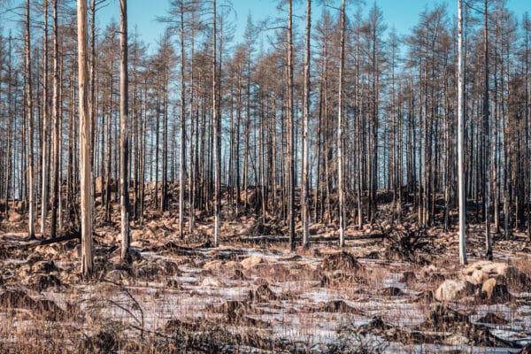 Ecogains experter levererar fältdata till ny forskning publicerad i Journal of Ecology