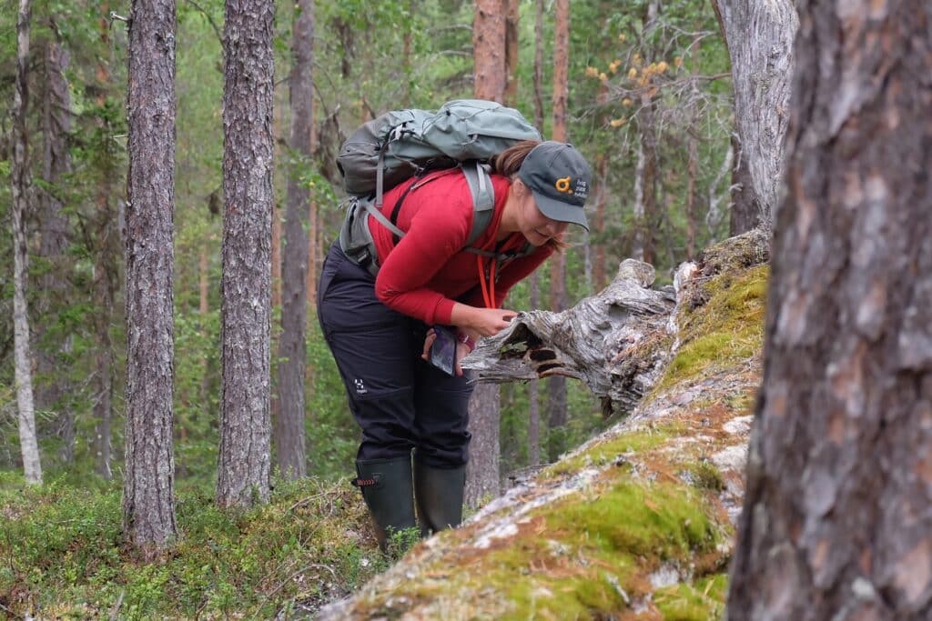 Miljöexpert inventerar naturvärden